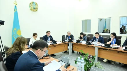 Құрылтай көші-қон заңнамасын жетілдіру жұмысына кірісті