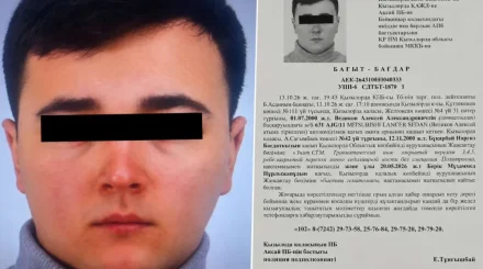 "Бес айлық сәбиі мен анасын қағып, оқиға орнынан қашып кеткен": Қызылордада жол апатына себеп болған жүргізуші іздестіріліп жатыр