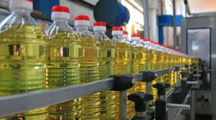 Казахстан наращивает экспорт сельскохозяйственной продукции