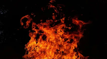 Алматы облысындағы заңсыз қоқыс полигонында шыққан өрт толық сөндірілді