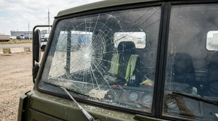 Грузовик протаранил толпу паломников у храма, погибли 12 человек (ВИДЕО)