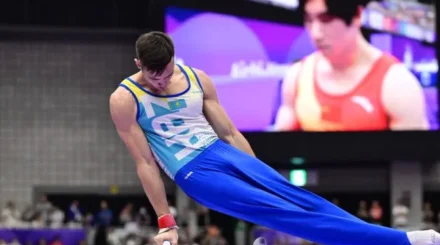 Чемпионат мира по спортивной гимнастике