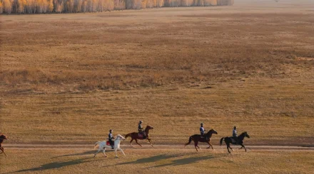 Казахстанские всадники заняли весь пьедестал международного турнира Allur Endurance CUP 2026