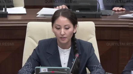 Айжан Аймағанова әйелдер мен балаларды зорлық-зомбылықтан қорғаудың жаңа тетігін ұсынды
