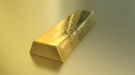 Пресечение незаконного вывоза золотосодержащей руды из Казахстана