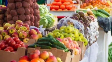 «Дала дәмі» жәрмеңкелерінде 7,5 мың тоннадан астам өнім ұсынылды