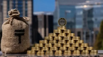 217 млн тенге ущерба: под видом кооператива работала финансовая пирамида