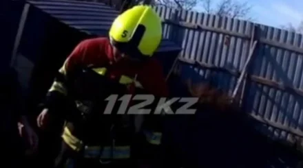  Павлодар облысында әжетханаға кірген әйел күтпеген жағдайға тап болды (ВИДЕО) 