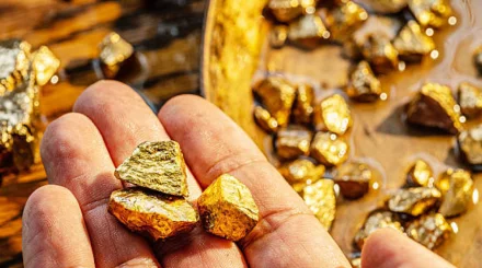  Шымкенттен Түркияға 227 млн теңгенің алтынын алып өтпек болғандар ұсталды 