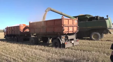 Қазақстан 24,3 млн тонна астық жинады