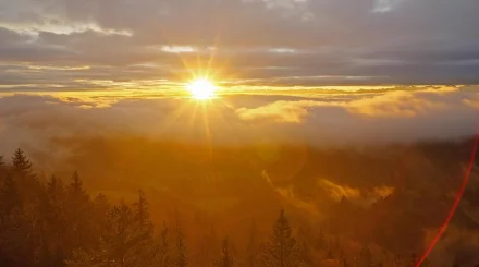 1 қарашаға арналған ауа райы болжамы жарияланды