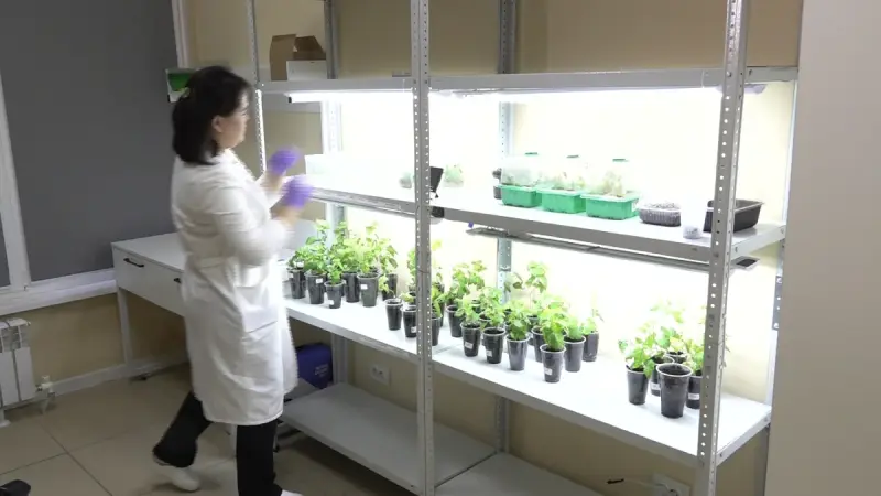 Қазақстанның әр өңірінде көгалдандыру ісі ғылыми тәсілмен жүргізіледі