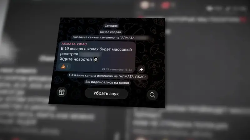 Жалған ақпарат: Алматының мектептеріндегі террористік актіге қатысты полиция пікір білдірді