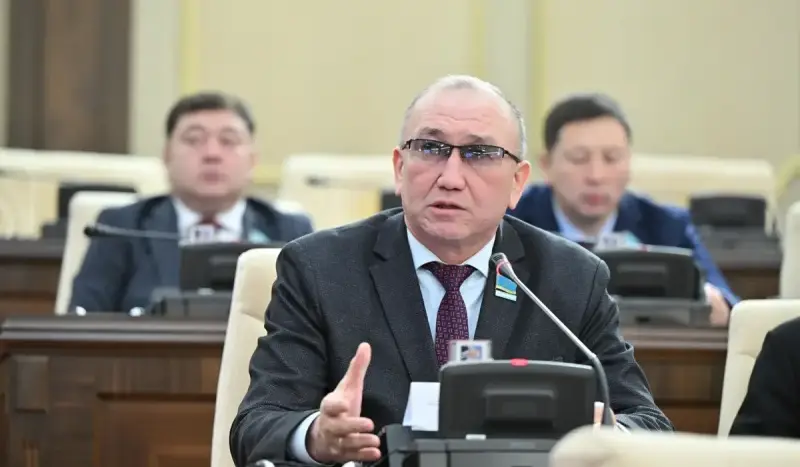 Қазақстанда саяси партияларды шетелдік қаржыландыруға тыйым салу ұсынылды