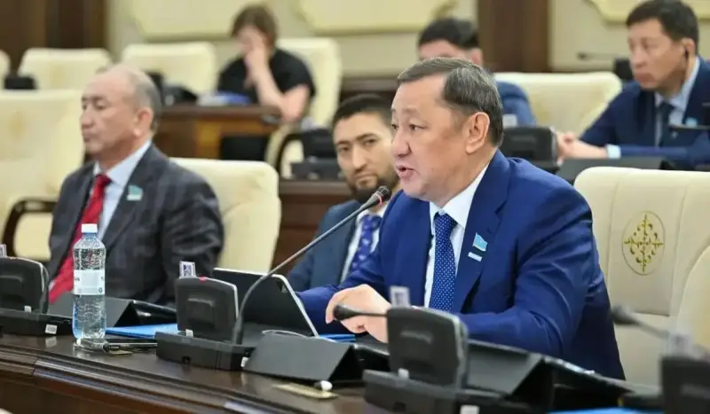Депутат моноқалаларды дамытудағы жүйелі мәселелерді көтерді