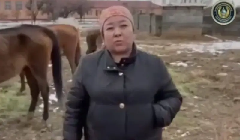 Түркістанда 21 жылқысынан көз жазып қалған әйел полицияны ыңғайсыз жағдайға қалдырды (ВИДЕО)