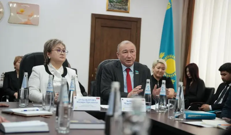 Астанада жаңа Конституция жобасы бойынша сараптамалық талқылау өтті