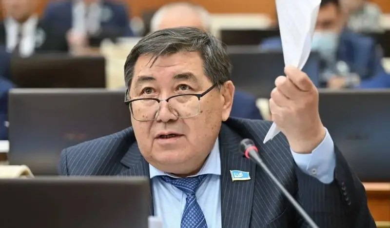 Біз бұл жаңа Конституцияны қабылдаған соң, «ескі Қазақстанмен» толық қош айтысамыз – Бапи