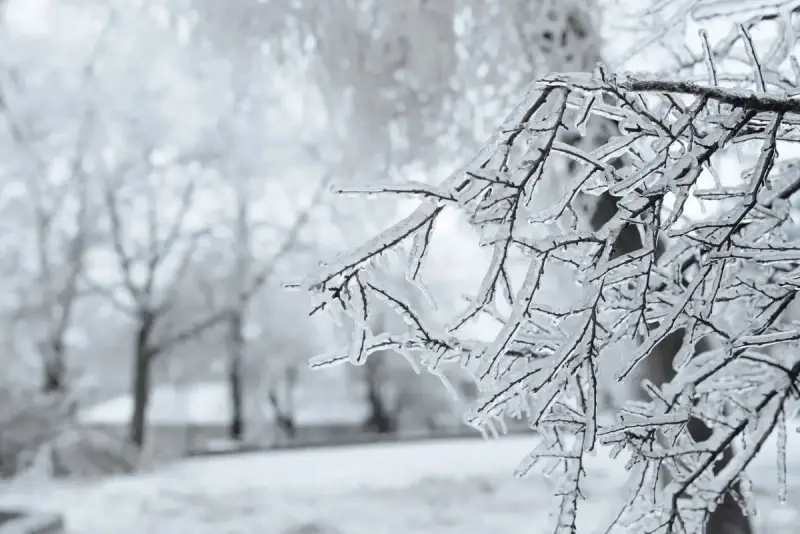 Қазақстанның 13 өңірінде дауылды ескерту жарияланды