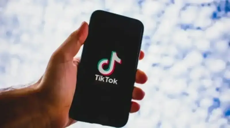 TikTok-тағы тікелей эфирінде басқа ұлтқа тіл тигізген Өскеменнің блогері изоляторға қамалды
