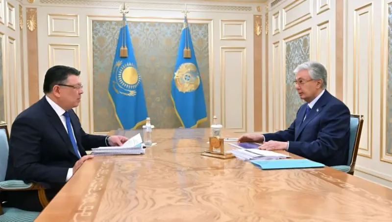 Тоқаев Бозымбаевты қабылдап, үкіметке Алатау қаласының инфрақұрылымына қажетті қаржы бөлуді міндеттеді