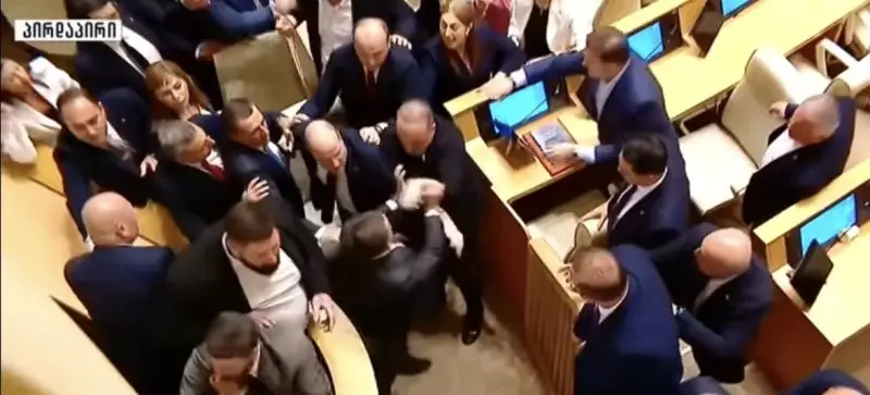 Депутаты подрались на последнем заседании парламента Грузии