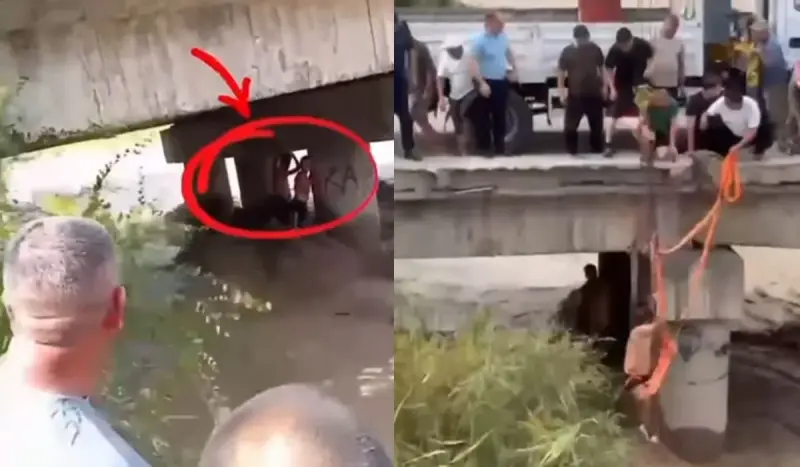 Бурная река отрезала подростков от берега под мостом: их спасение сняли на видео в области Жетысу