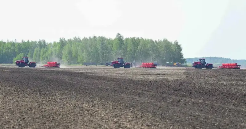  Павлодар облысында 18 миллион теңгенің ауыл шаруашылығы жері мемлекетке қайтарылды 