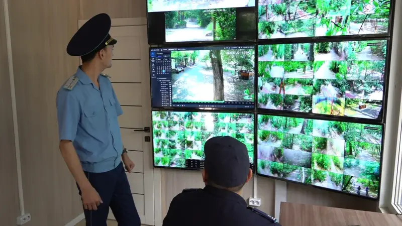 Рощу Баума взяли под цифровой контроль: безопасность усилили камерами и дронами