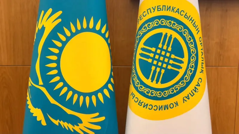 Құрылтай сайлауын бақылайтын халықаралық байқаушылар саны 96-ға жетті