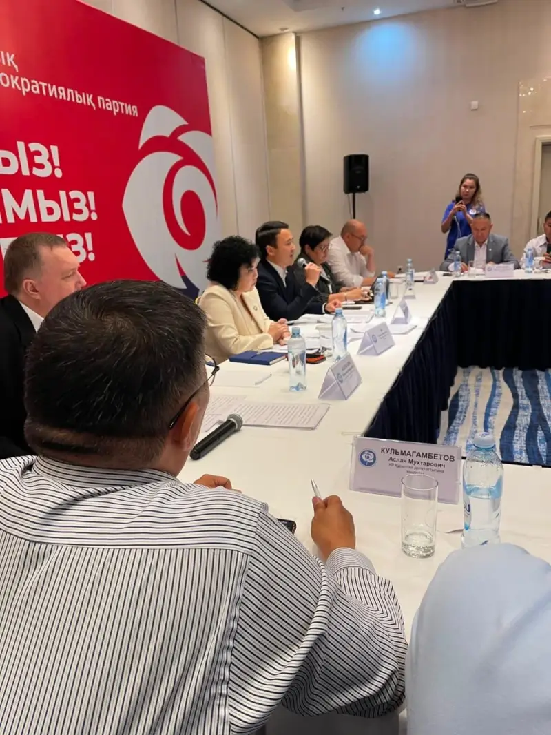 ЖСДП «Ақ жол» мен ҚХП бағдарламаларын сынға алды