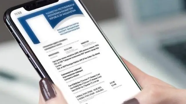 Цифрлық медициналық кітапша: Қазақстанда жаңа сервис іске қосылды
