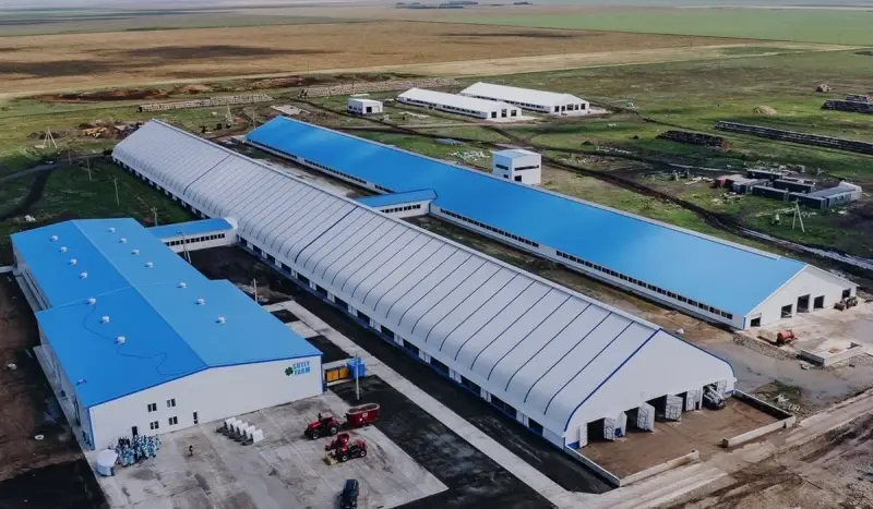 Тәулігіне 150 тонна: Солтүстік Қазақстанда Орталық Азиядағы ең ірі сүт фермасы ашылды