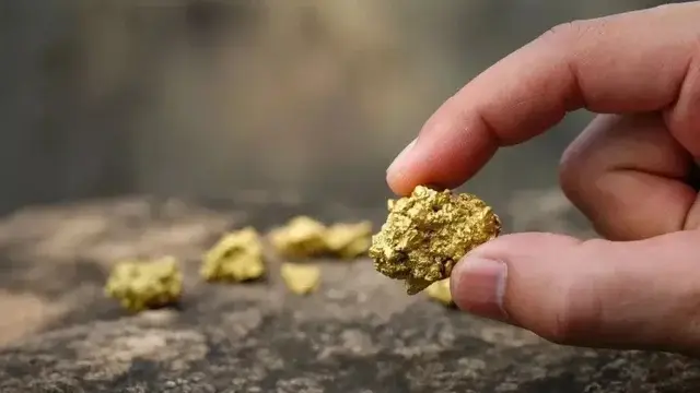 Қызылорда облысында алтынды заңсыз өндірген қылмыстық топ ұсталды