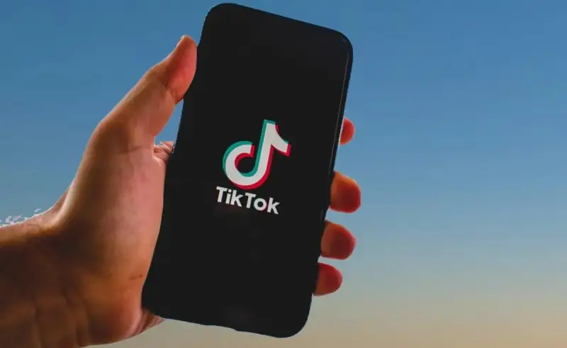 TikTok-тағы тікелей эфирде балағат сөз айтқан ер адам қамауға алынды