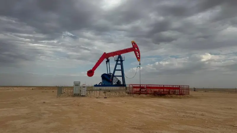 Крупная нефтегазовая компания попала под проверку МЧС в Мангистау