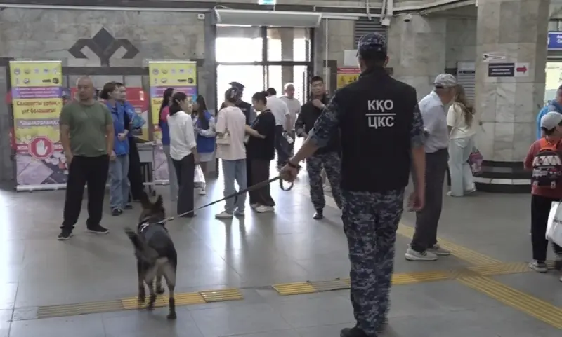 Как служебные собаки помогают раскрывать наркопреступления в мегаполисе