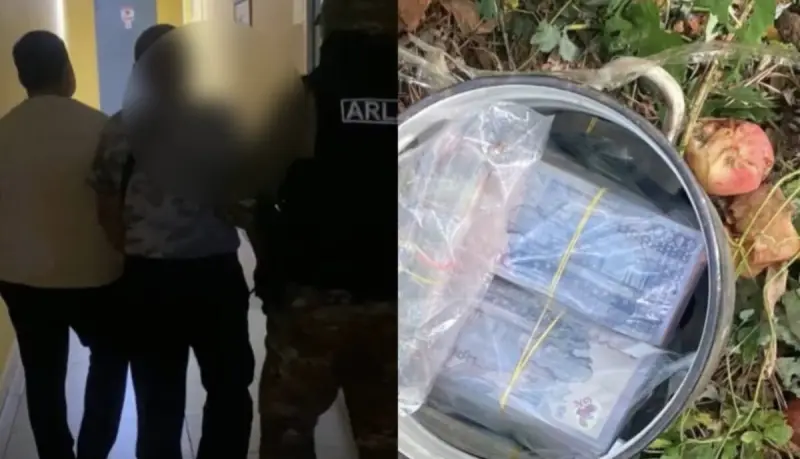 Кастрюлю с 24 миллиона тенге нашли под деревом в Павлодаре