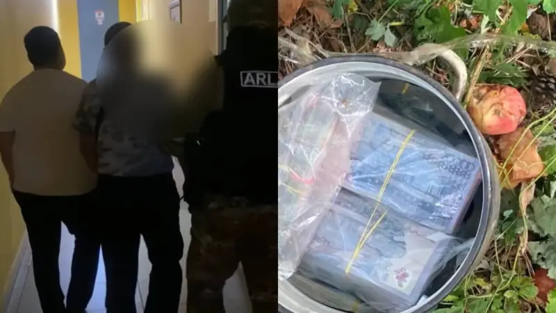 Павлодарда алма ағашының түбінен 25 миллион теңге салынған ыдыс табылды