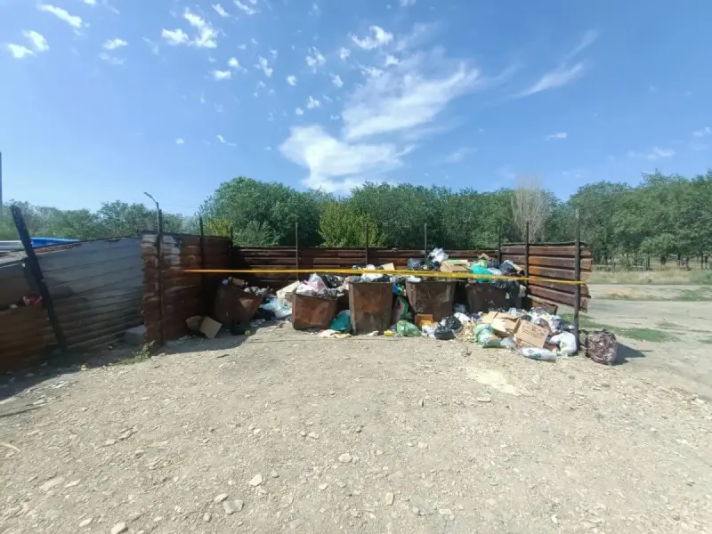 Младенца выбросили в мусорку в Жамбылской области: мать ребенка найдена