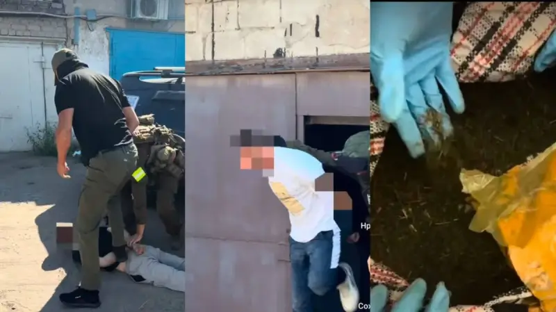 Полицейские пресекли сбыт 60 кг марихуаны в Павлодаре