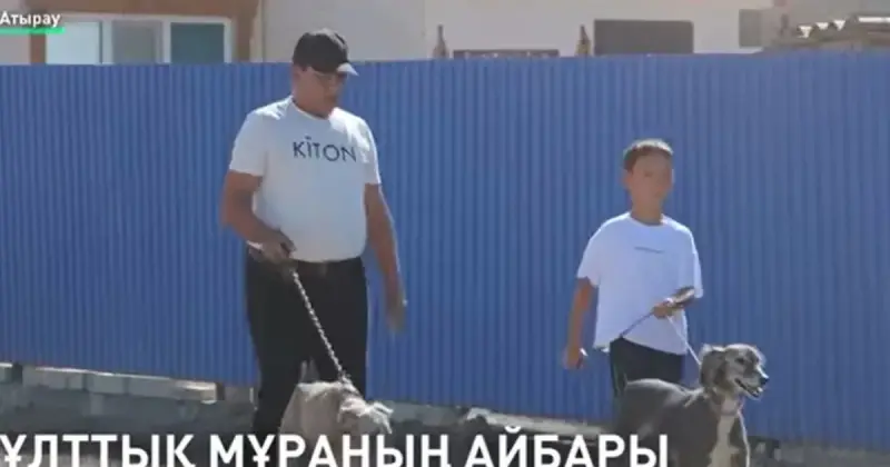  Атырауда 9 жастағы бала тазы баптаудың сырын айтты 