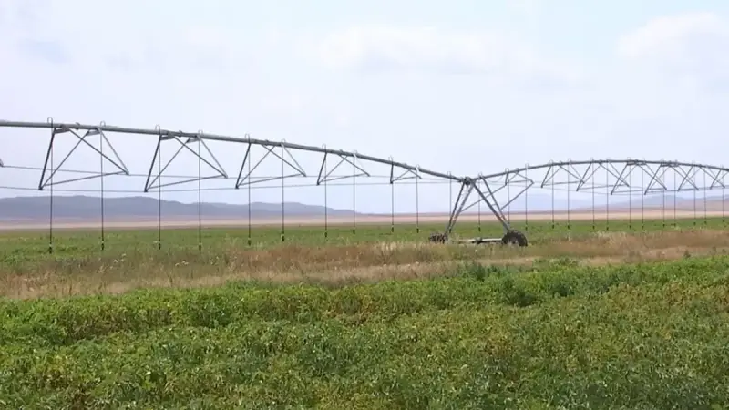 Фермеры в АлматинскойВ