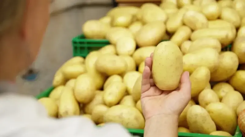 Какие продукты подешевели в Казахстане за неделю