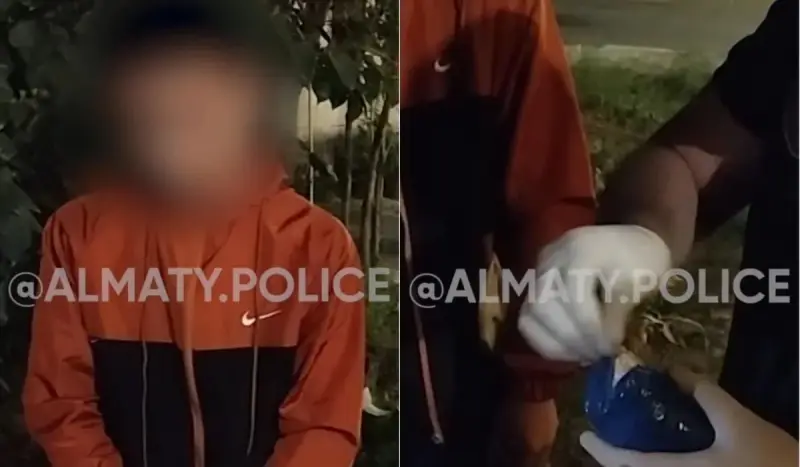 Двух подростков с особо крупной партией наркотиков задержали в Алматы (ВИДЕО)