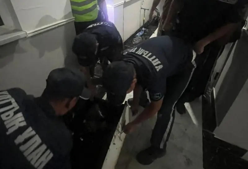 Гвардейцы помогли предотвратить распространение огня в Актау