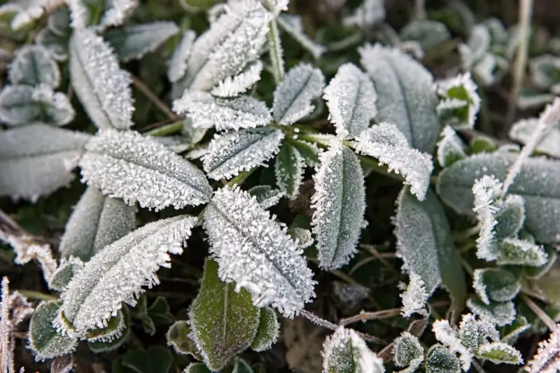 Түнде -2°C-қа дейін үсік, жаңбыр мен найзағай: 5 қыркүйекке арналған ауа райы болжамы