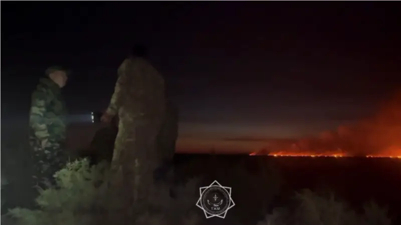 Алматы облысында құрғақ шөп пен қамыс өртенді