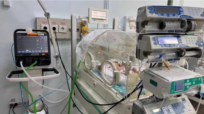 Дәрігерлер 740 грамм салмақпен дүниеге келген сәбидің өмірі үшін 80 күн күресті
