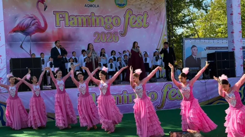 От степных пейзажей до розовых фламинго: в Коргалжыне проходит Flamingo Fest